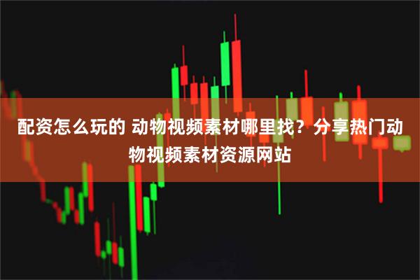 配资怎么玩的 动物视频素材哪里找？分享热门动物视频素材资源网站
